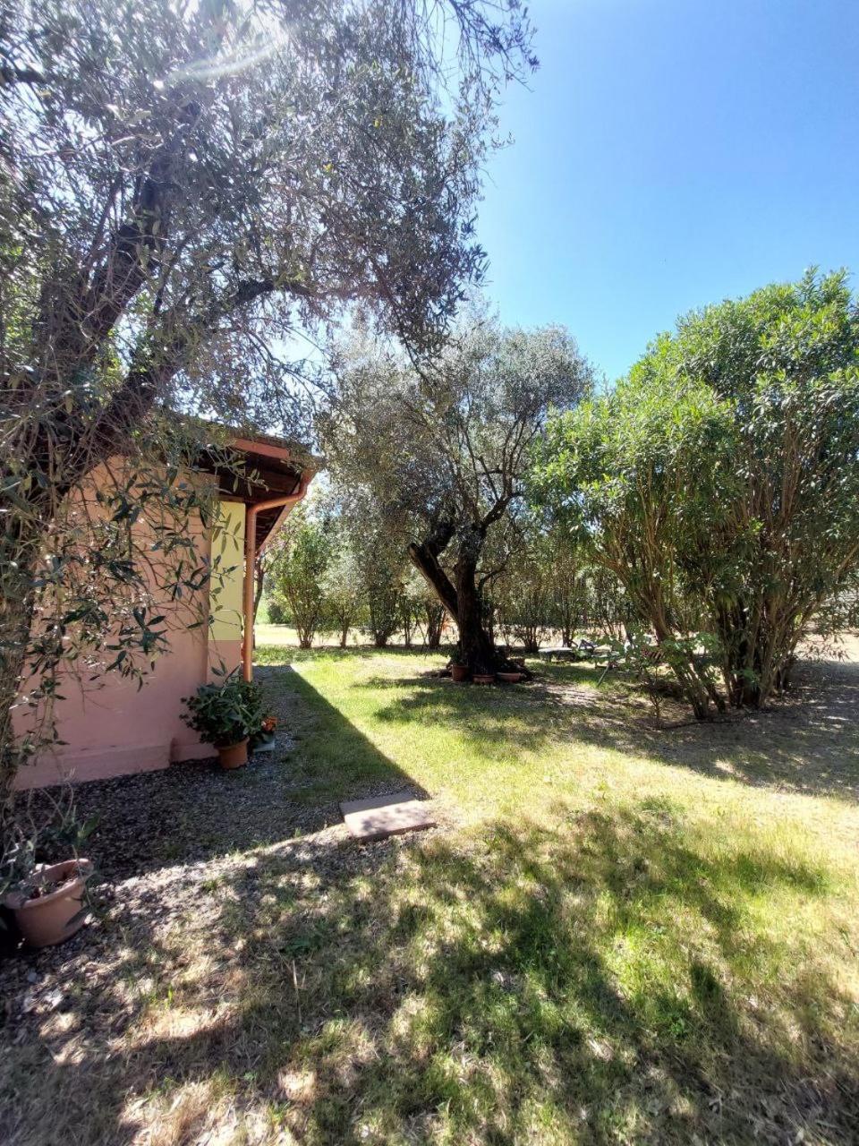 Casa L' Antico Ulivo Leilighet Iglesias Eksteriør bilde